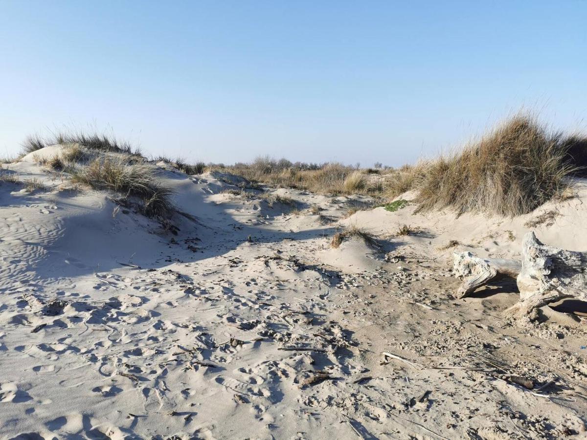 Plages De Camargue Et Logement Dans Un Site Calme De Reve Арль Экстерьер фото