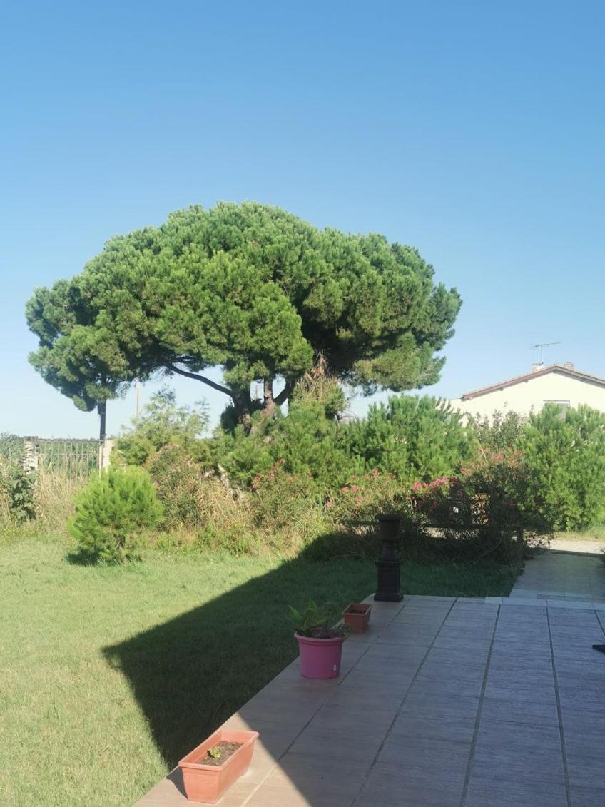 Plages De Camargue Et Logement Dans Un Site Calme De Reve Арль Экстерьер фото